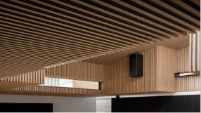 Wood Plastic Composite (WPC)